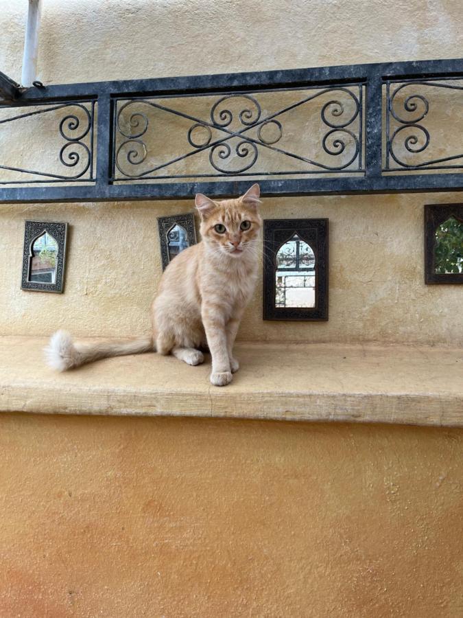 Riad Al Ibtikar Марракеш Экстерьер фото